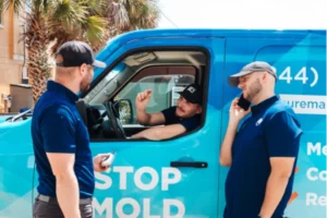 mold remediation, indoor air quality, and home restoration